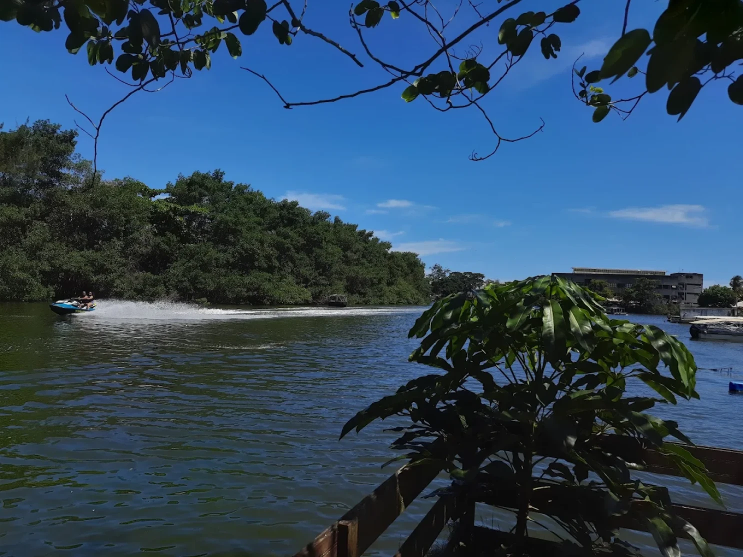 Refuge on Ilha da Gigóia - Italian Cuisine - Image